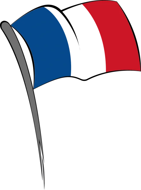 Drapeau français — Service public