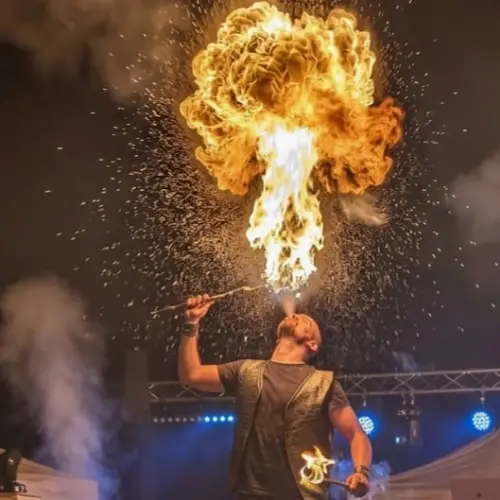 La Tribe Performance - Spectacles de feu Rhône-Alpes, LED & déambulations