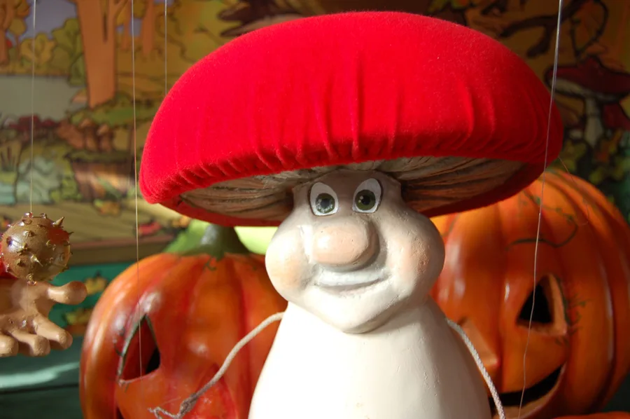 Automne — La Course aux Champignons